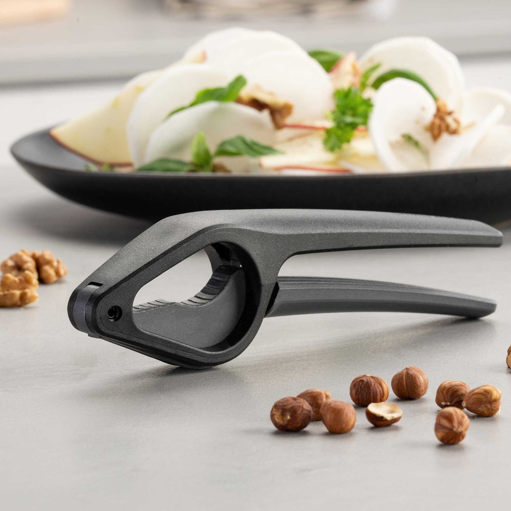 FM Diótörő Statement