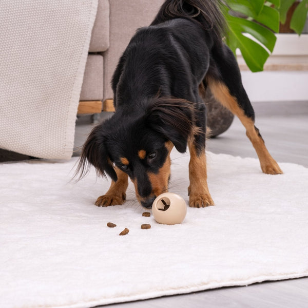 FM Snack ball kicsi Our Pets