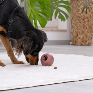 FM Snack ball nagy Our Pets