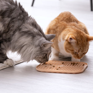 FM Szilikon etetőlap/Licking Mat Our Pets