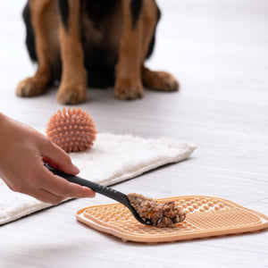 FM Szilikon etetőlap/Licking Mat Our Pets