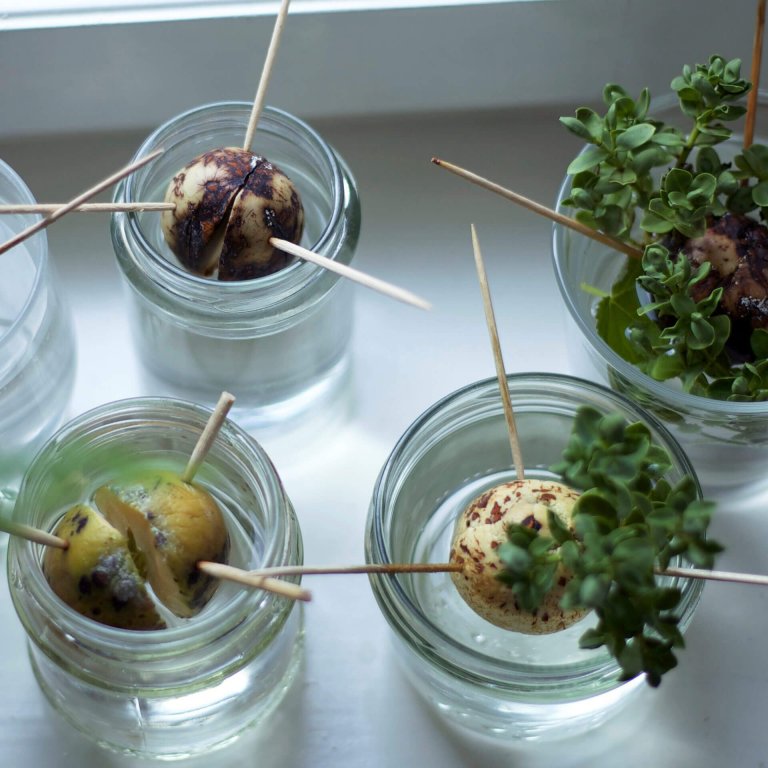 FM Eco Fogvájó 500 db 