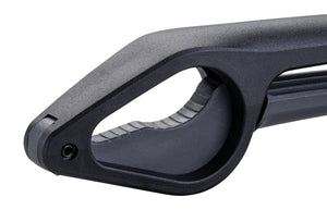 FM Diótörő Statement