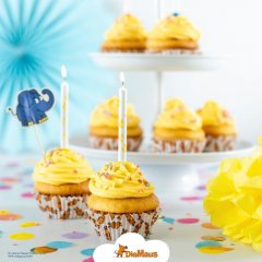 DR OETKER 12 db Gyertya + 12 db tartó 
